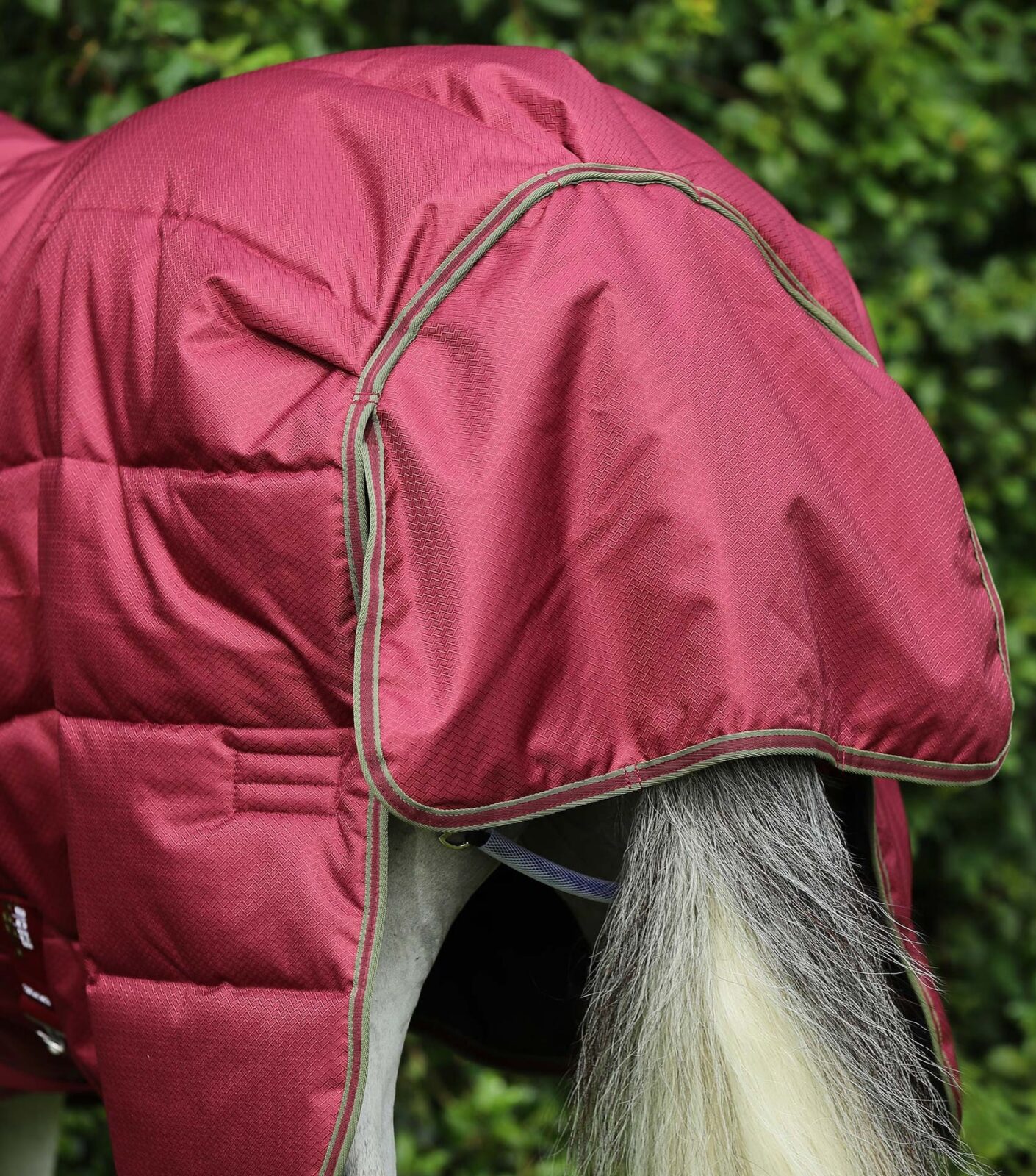 Premier Equine 350g Stable Rug with Neck Cover -Hydra - Image 7