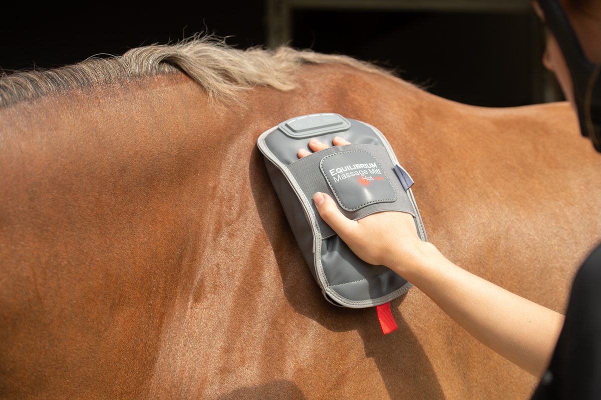Equilibrium Products Massage Mitt Hotspot - Image 3