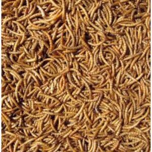 Hutton Mill Dried Mealworms 1kg