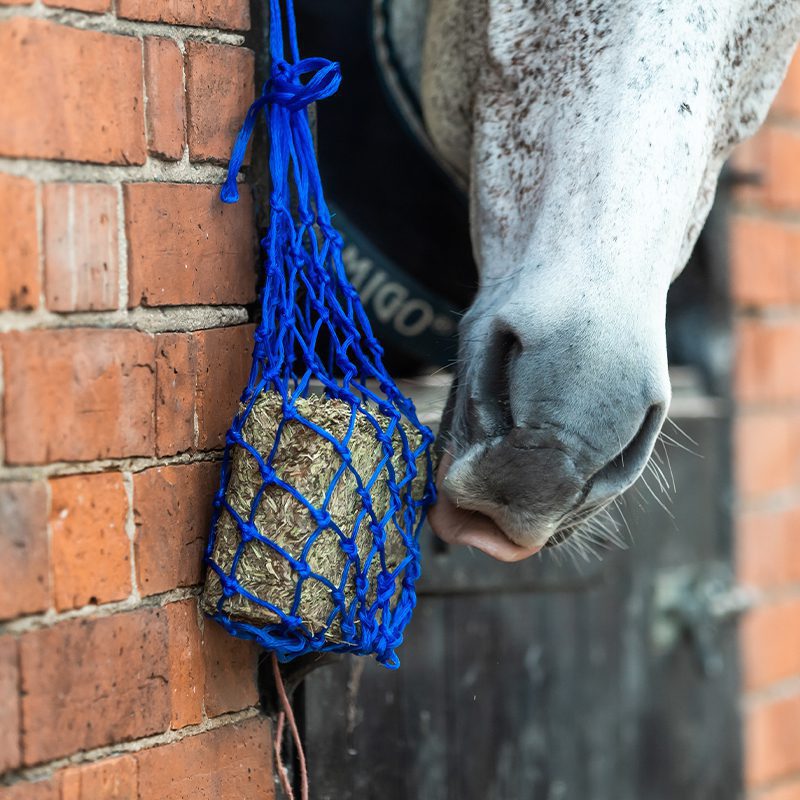 Yard, Field & Stables