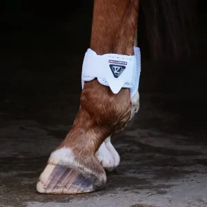 Eqilibrium Tri-Zone Fetlock Boots