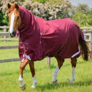 Premier Equine 90g Combo Turnout Rug with Classic Neck -Buster Storm