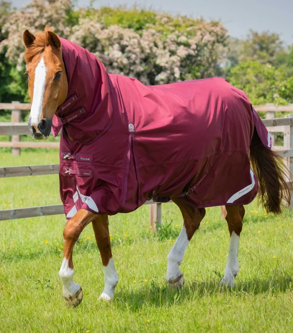 Premier Equine 90g Combo Turnout Rug with Classic Neck -Buster Storm