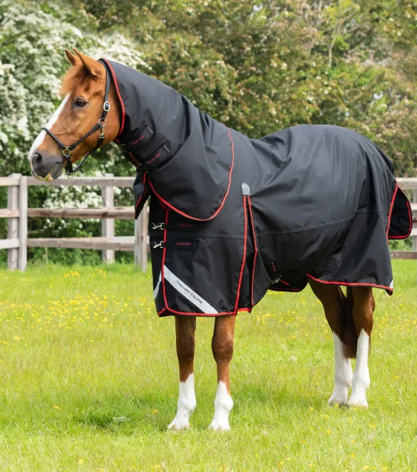 Premier Equine 250g Turnout Rug with Classic Neck Cover -Buster