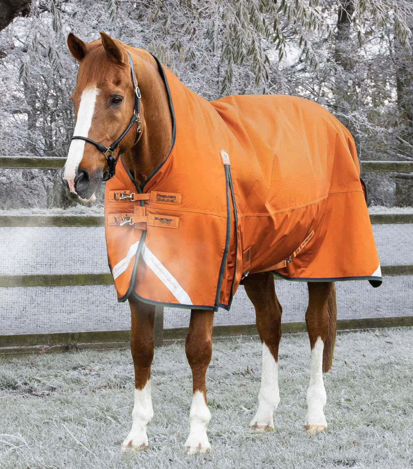 Premier Equine 400g Half Neck Turnout Rug -Buster Hardy - Image 2