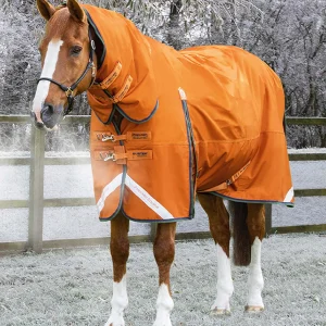 Premier Equine 400g Combo Turnout Rug with Classic Neck -Buster Storm