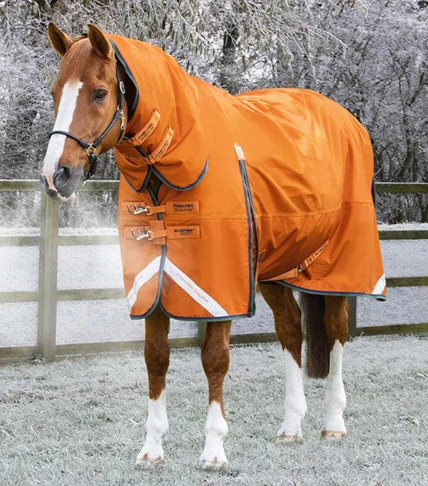 Premier Equine 400g Combo Turnout Rug with Classic Neck -Buster Storm