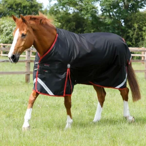 Premier Equine 450g Original Turnout Rug -Titan