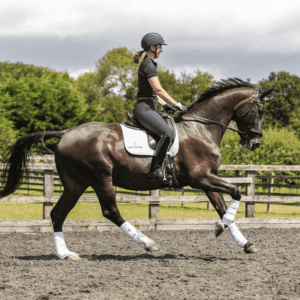 Equlibrium Products Stretch & Flex Training Wraps