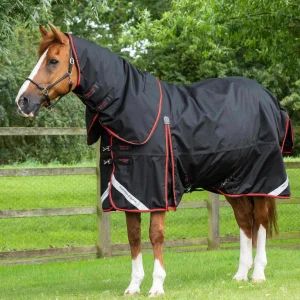 Premier Equine 420g Turnout Rug with Classic Neck -Buster