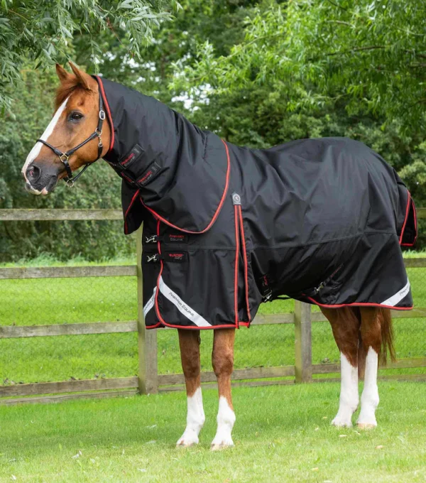 Premier Equine 420g Turnout Rug with Classic Neck -Buster
