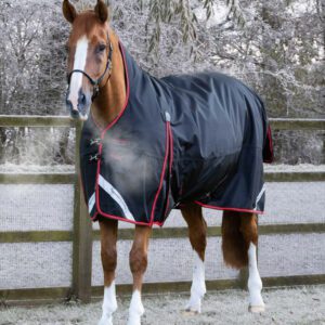 Premier Equine 400g Half Neck Turnout Rug -Buster Hardy