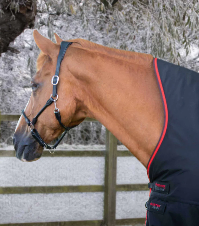 Premier Equine 400g Half Neck Turnout Rug -Buster Hardy - Image 3