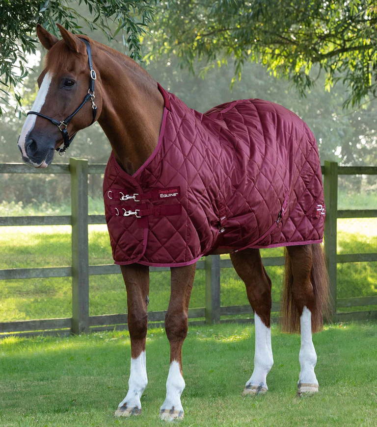 Premier Equine Stable Rug 200g -Tuscan - Image 2