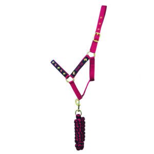 Riding Star Collection Head Collar and Lead Rope by Little Rider