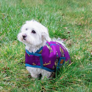 Benji & Flo Thelwell Collection Dog Coat -Pony Friends
