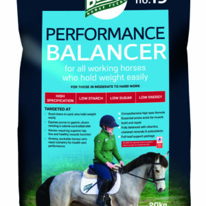 No19-Performance-Balancer