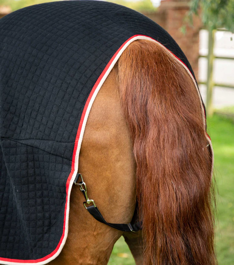Premier Equine Cooler Rug -Premtex - Image 13