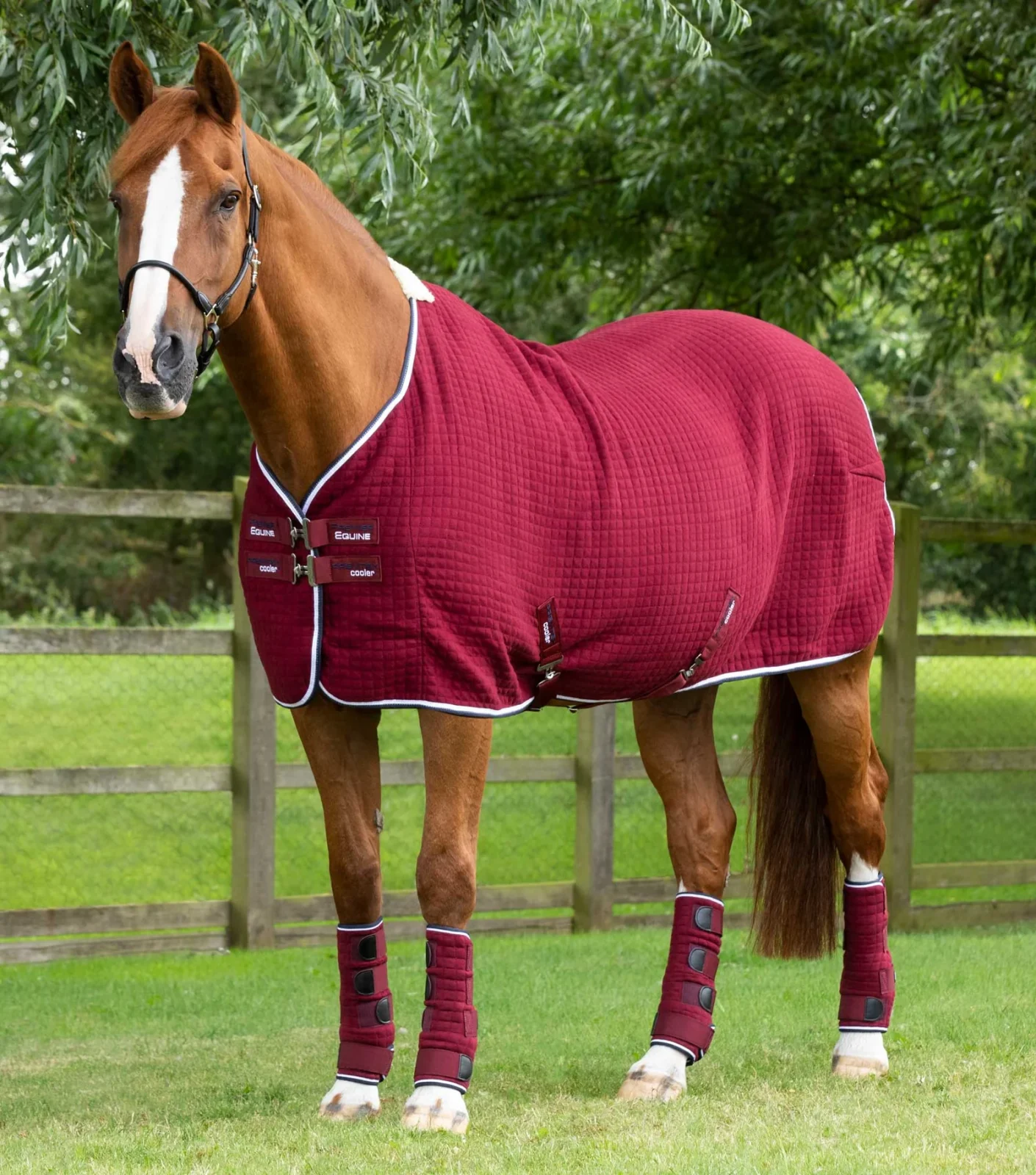 Premier Equine Cooler Rug -Premtex - Image 2