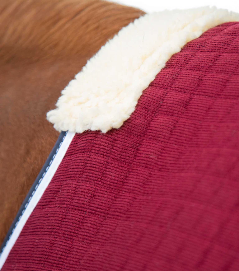 Premier Equine Cooler Rug -Premtex - Image 8