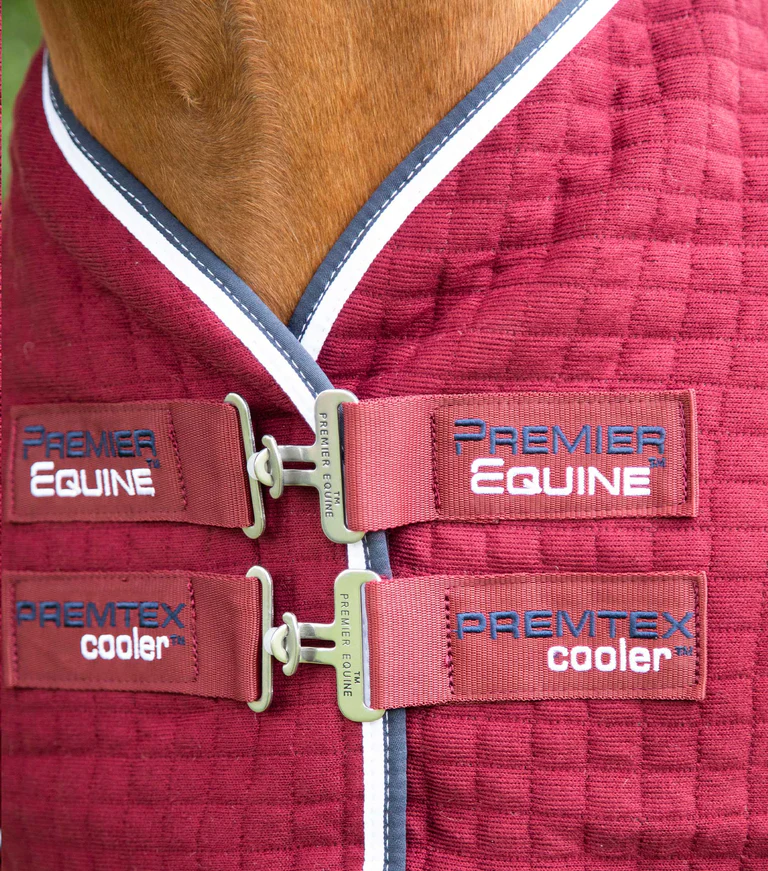 Premier Equine Cooler Rug -Premtex - Image 5