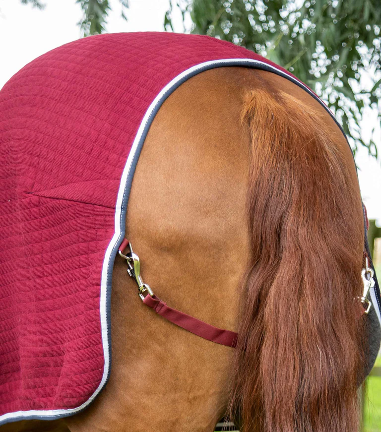 Premier Equine Cooler Rug -Premtex - Image 14