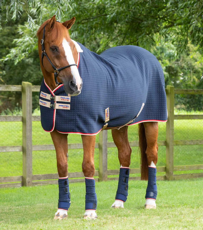 Premier Equine Cooler Rug -Premtex - Image 3