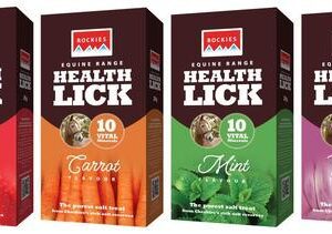 Rockies Flavoured Health Lick 