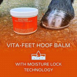 Arthur Boyd Vita-Feet Hoof Balm 500ml