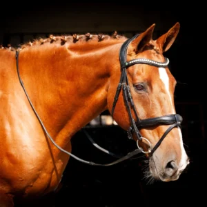 EcoRider Ultra Comfort Inside Grip Reins 