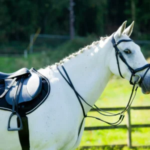 EcoRider Ultra Comfort Elasticated Martingale