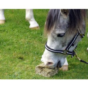 Simple System Meadow Brix Single 1kg