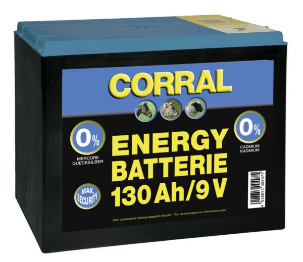 Standard dry battery for use with electric fences. Non-rechargeable.