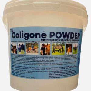 for equine digestion