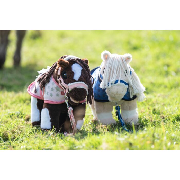 HKM Star Set -Cuddle Pony