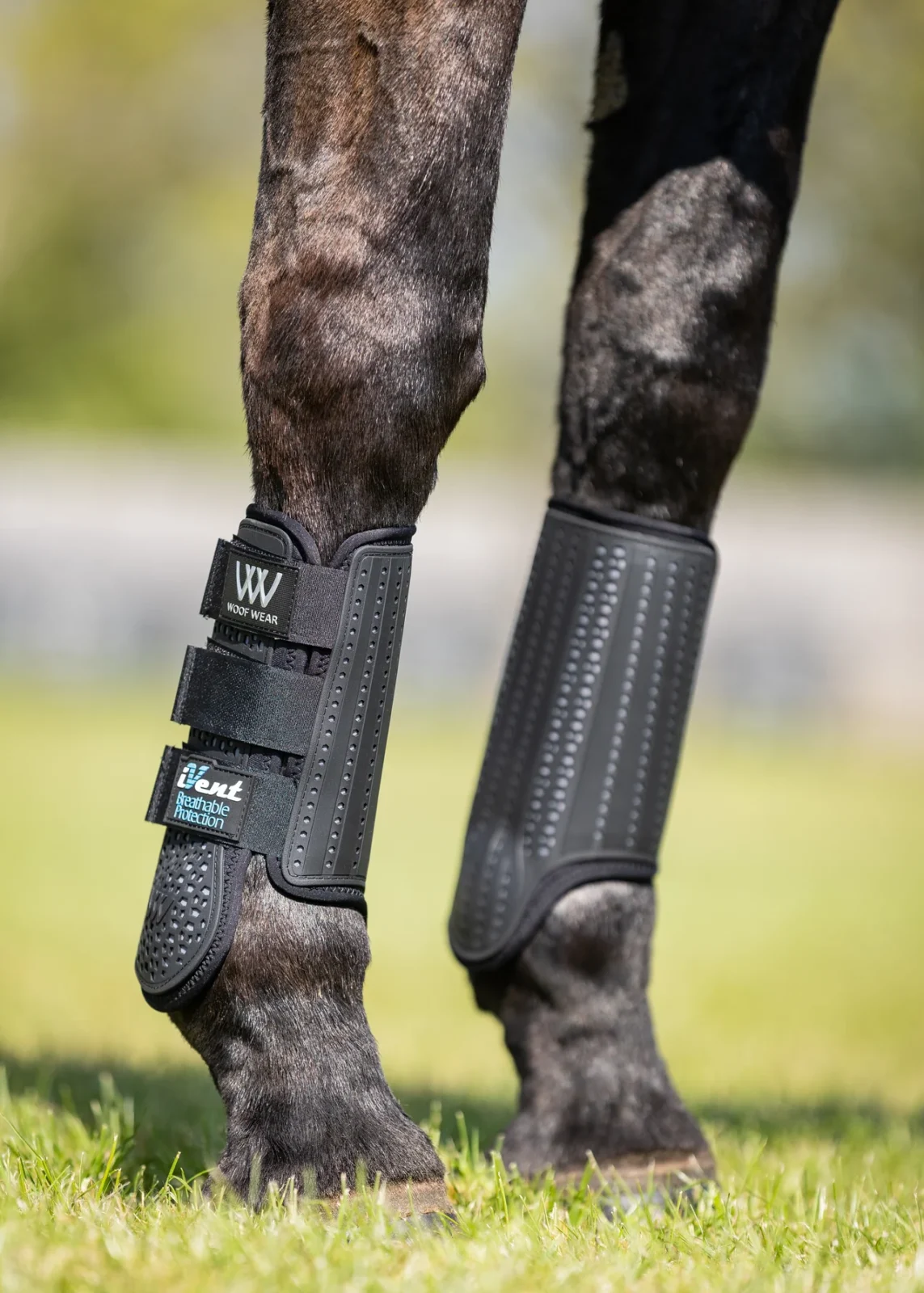 Ivent Event Boot -Front by Woof Wear - Image 2