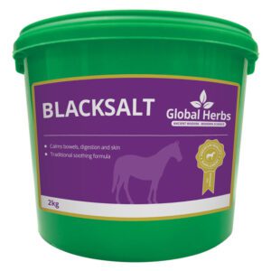 Global Herbs Blacksalt 2kg for equine digestion