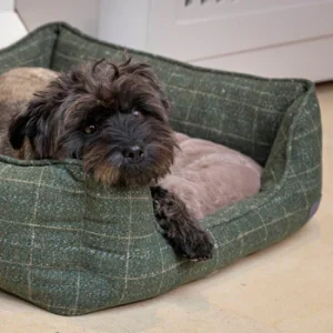 House of Paws Moss Tweed Rectangle Bed