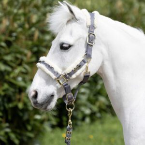 Coldstream Luxury Head Collar & Lead Rope -Langlee