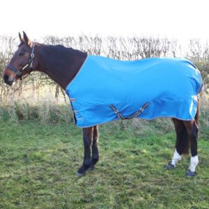 StormX 0 Turnout Rug -Empra