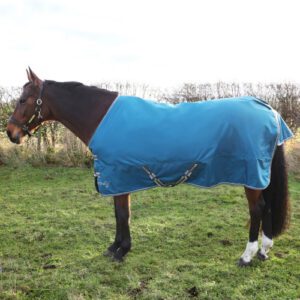 StormX 50 Turnout Rug -Empra 