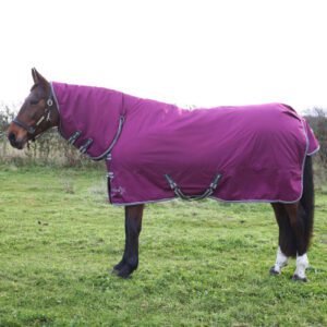 StormX 200 Combi Turnout Rug -Empra 
