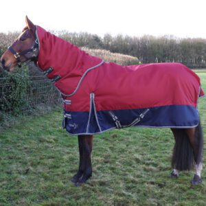 StormX 200 Turnout Rug with Detachable Neck -Empra