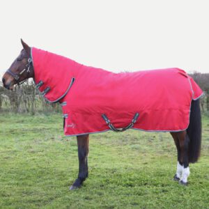 StormX 300 Combi Turnout Rug -Empra 