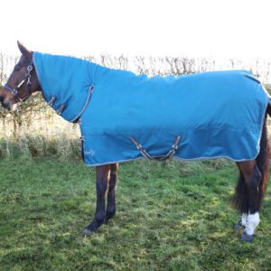 StormX 50 Combi Turnout Rug -Empra