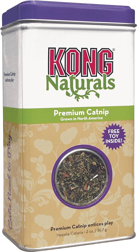 KONG Catnip Premium - Image 3