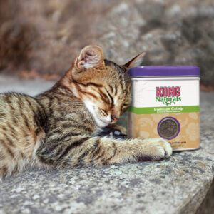 Use as a standalone treat or in the refillable catnip toys.