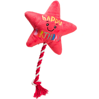 House of Paws Star Balloon with Rope Toy