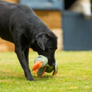 House of Paws Canvas Duck Thrower Toy