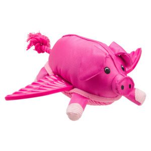 House of Paws Pig with Wings